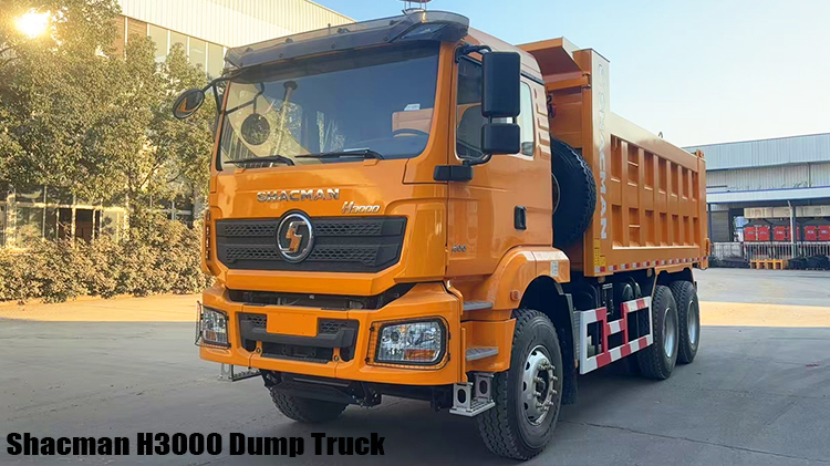 10 Tires Shacman H3000 Dump Truck Price in Zimbabwe