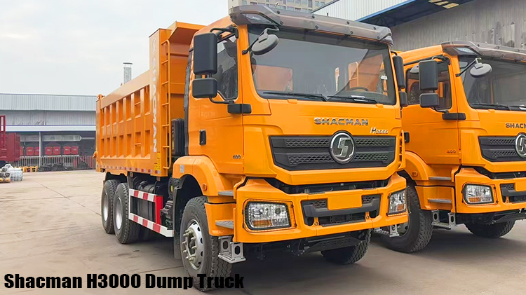 10 Tires Shacman H3000 Dump Truck Price in Zimbabwe