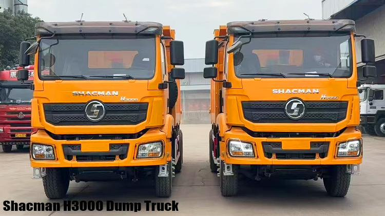 10 Tires Shacman H3000 Dump Truck Price in Zimbabwe